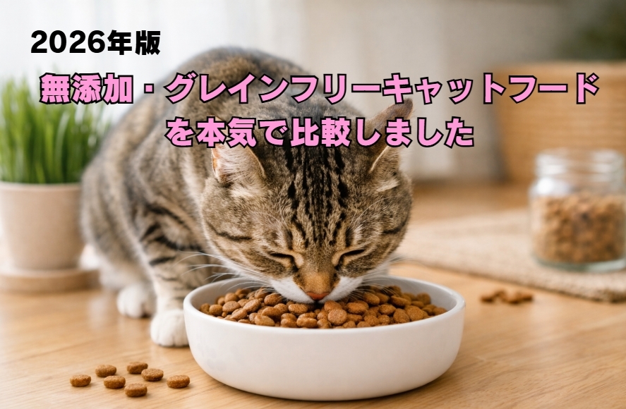 2026年版｜無添加・グレインフリーキャットフードを本気で比較しました　　　　　　　　　　　　　　　　　　　　　　　　　　　　
